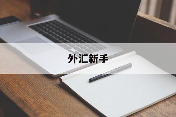 外汇新手(外汇新手入门怎么做)